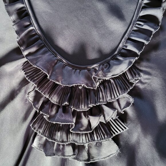 Allison Taylor Petite Ruffle Neck Blouse - Petite Medium - EUC - Picture 5 of 5